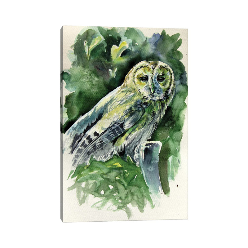 Majestic Owl by Anna Brigitta Kovacs - Wrapped Canvas Print, 20.32 cm H x 30.48 cm W