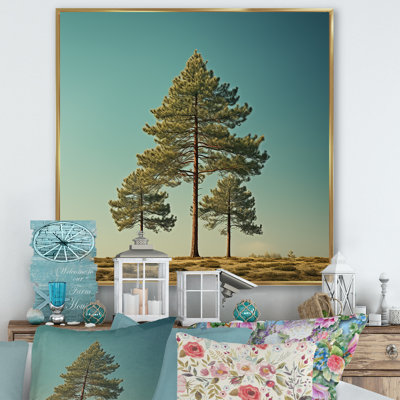 " Pine Tree Perspective In Forest I " Print
