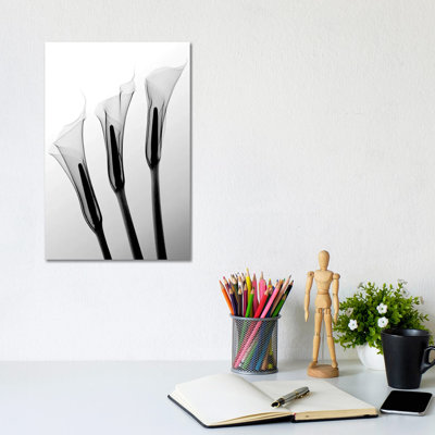 Hong Pham - Print on Canvas