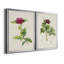 «Pretty Pink Botanicals II», ensemble de 2 impressions sur toile encadrées-1800022750-1800022749