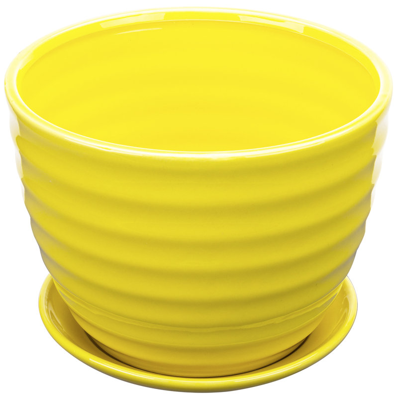 Ceramic Pot Planter
