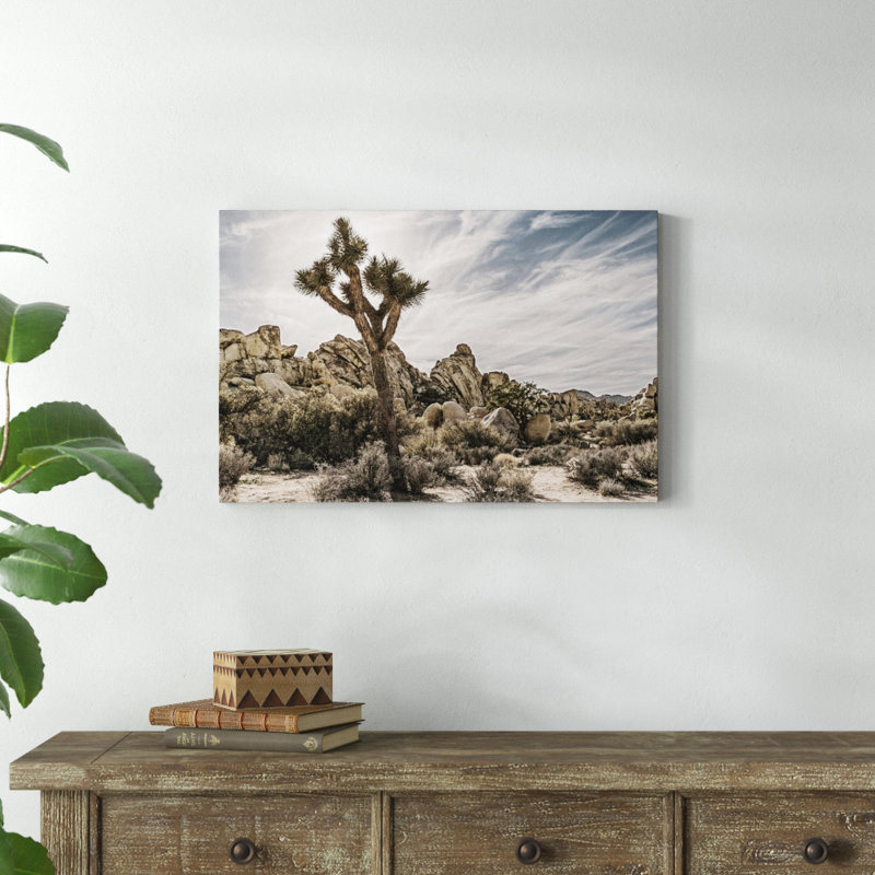 Views of Joshua Tree VIII by Rachel Perry - Photograph, 51cm H x 76cm W, Wrapped Canvas