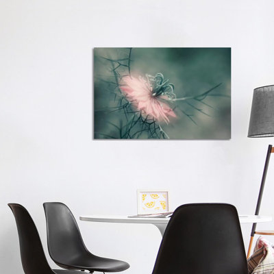 The Virgin by Heidi Westum - Wrapped Canvas Print