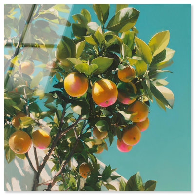 Breezy Citrus Tree Acrylic Print Vintage Italian Art by Notoriart, Ready to Hang, 12 x 12