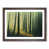 Walnut Framed selected