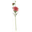 Chrysanthemum - 28 Inches Box of 12-253384966