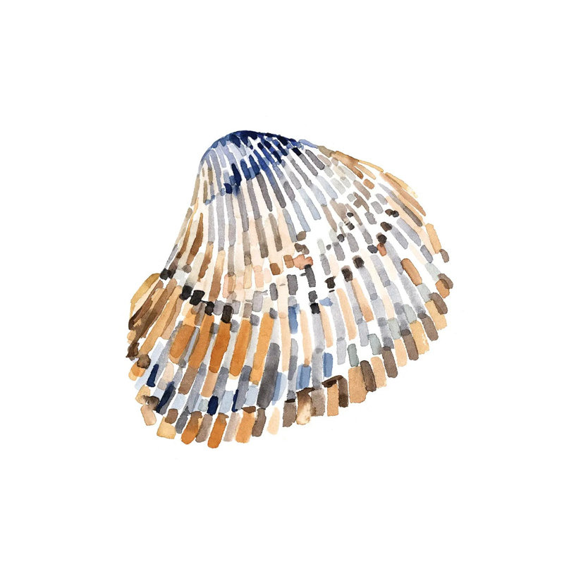 Simple Shells II by Emma Caroline - Wrapped Canvas Gallery-Wrapped Canvas Giclée, 30.48 cm H x 30.48 cm W