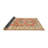 Oriental Indoor Rug-1654845166