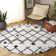 Alieshia Berber Shag Performance Geometric Rug