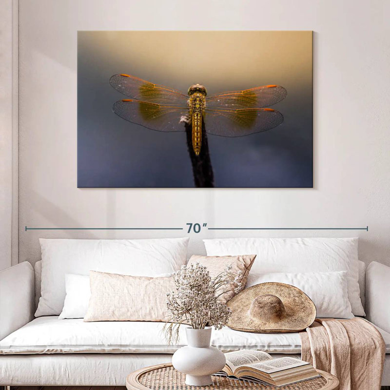 Dragonfly Glow
