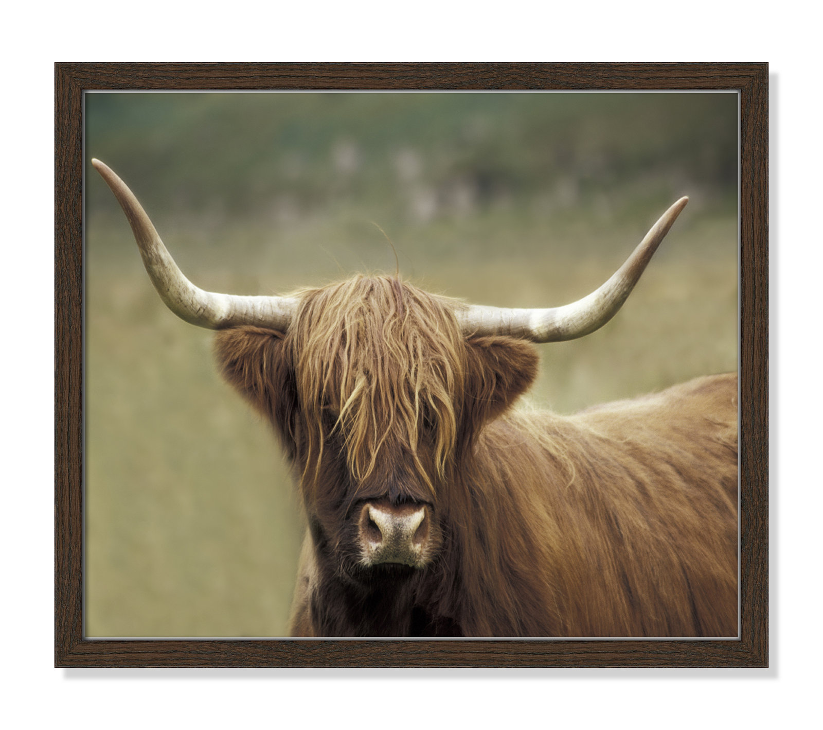 Frederic "Highland Afternoon" Print, 16" H x 19" W x 0.75" D, Walnut Wood Grain Framed