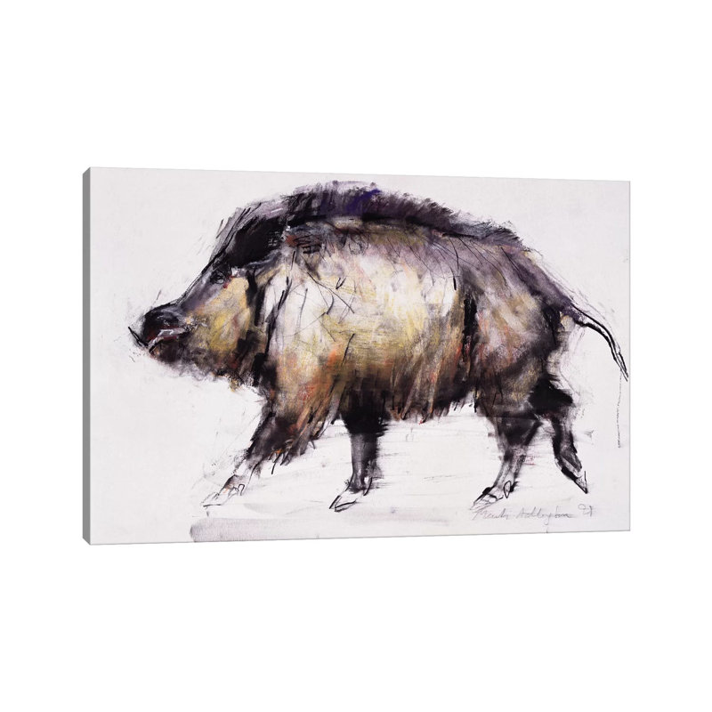 Wild Boar by Mark Adlington - Wrapped Canvas Painting, 20.32 cm H x 30.48 cm W