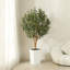 Adcock Artificial Olive Tree with Decorative Pot, UV Resistant Faux Olive Tree with Natural Trunk-556367956-556367954