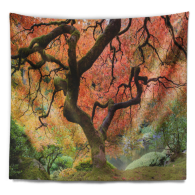 Photographie de paysage autumn maple tree tapisserie, H 50 po x l 60 po