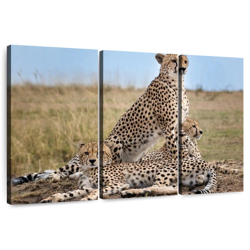 Brampt Wild Cat Coalition, 24" H x 38" W
