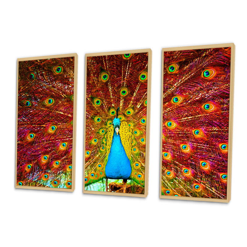 «Peacock Dancing - Animal», ensemble de 3 toiles encadrées, H 32 po x l 48 po x P 1 po, Brun