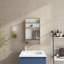 16 In. W X 28 In. H Wall-Mounted Or Recessed Gold Framed Storage Bathroom Medicine Cabinet With Mirror