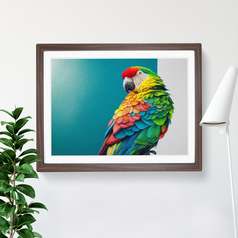 Captivating Parrot - Single Picture Frame Print, Walnut, 34cm H x 46cm W x 2cm D