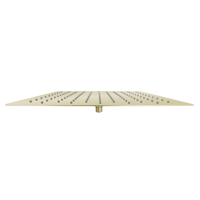Rain Fixed Shower Head, Polished Gold