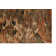 Dalli Abstract Indoor Rug