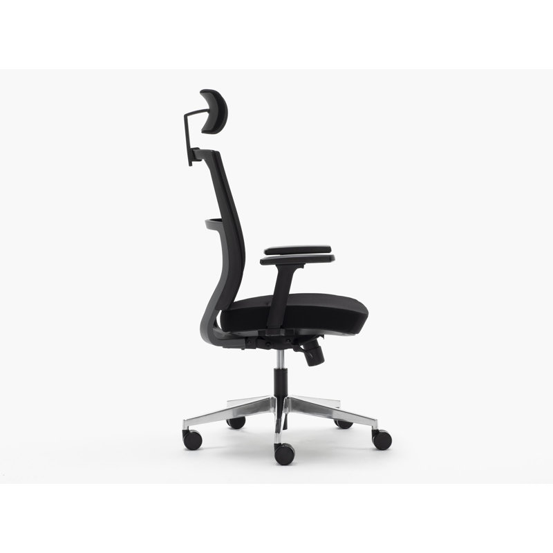 Symple Stuff Office Chair with Headrest