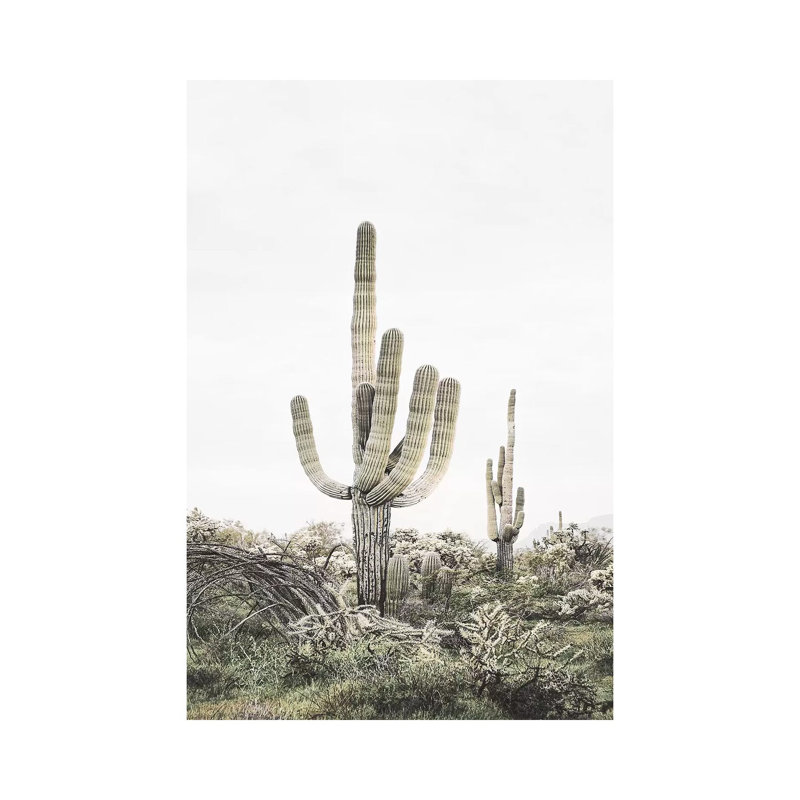 Blush Shy Cactus by Sisi & Seb - Wrapped Canvas Print, 30.48 cm H x 20.32 cm W x 1.91 cm D