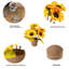 Arrangement floral tournesol en pot