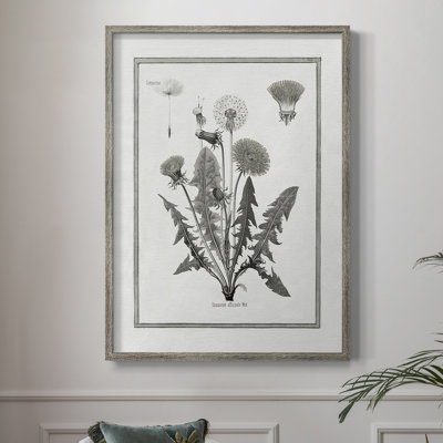 Dandelion I Framed Print - Solid Wood 50200