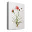 Wildflower Botanical III - peinture sur toile tendue-171238848
