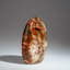 Polished Petrified Wood Freeform from Madagascar (1.75 Lbs)