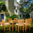 6 - Person Teak Wood Patio Dining Set with Rectangular Table , Cushions Included