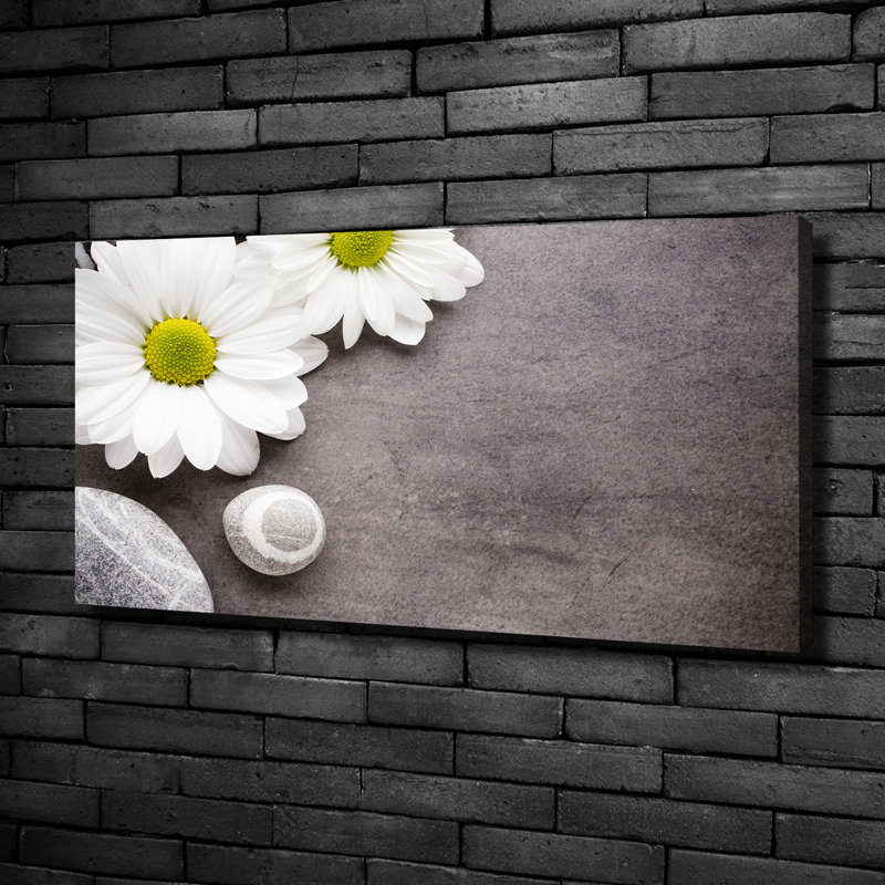 Gerbera - Wrapped Canvas Print