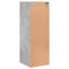 Masja Rectangle Accent Cabinet-849472183