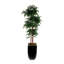 71"H  Artifical Yucca Tree with Pebbles in Black Tin Planter-39832106