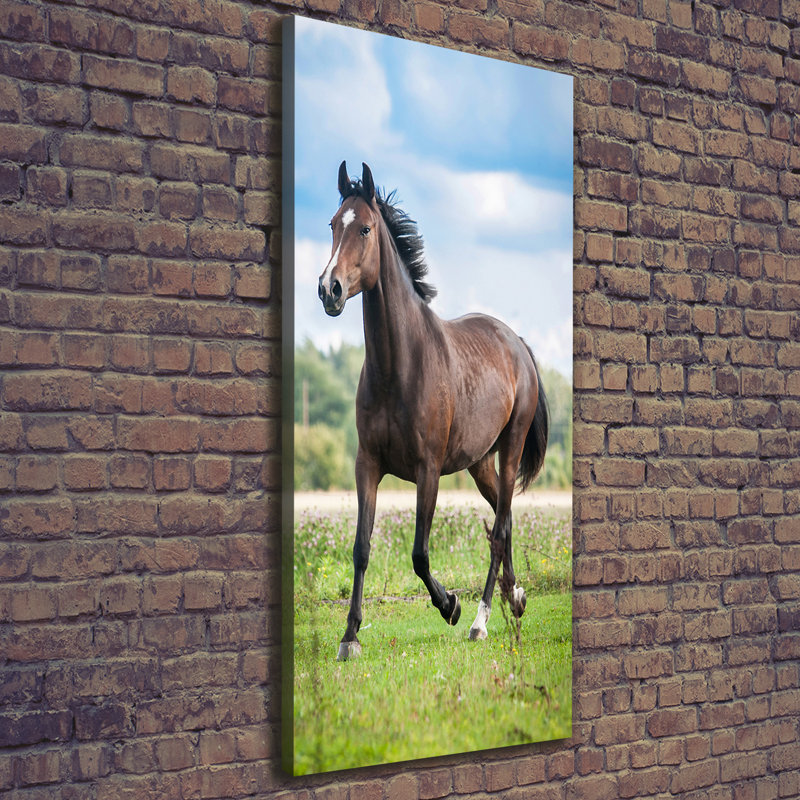 Horse On The Field - Wrapped Canvas Print