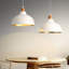Luminaire suspendu-1235401274-1235401221