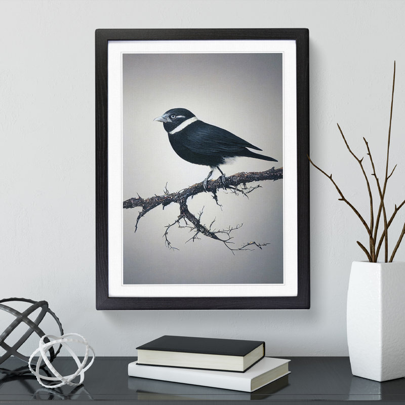 Bird Upon A Tree - Wall Art, Black Framed, 48cm H x 36cm W, White