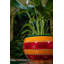 Pot à fleurs orange rayé Talavera Baul 9 po Colfax
