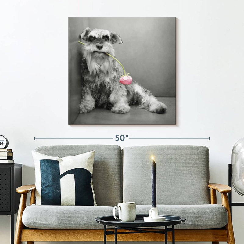Brampt Ziggy BW, 30" H x 30" W