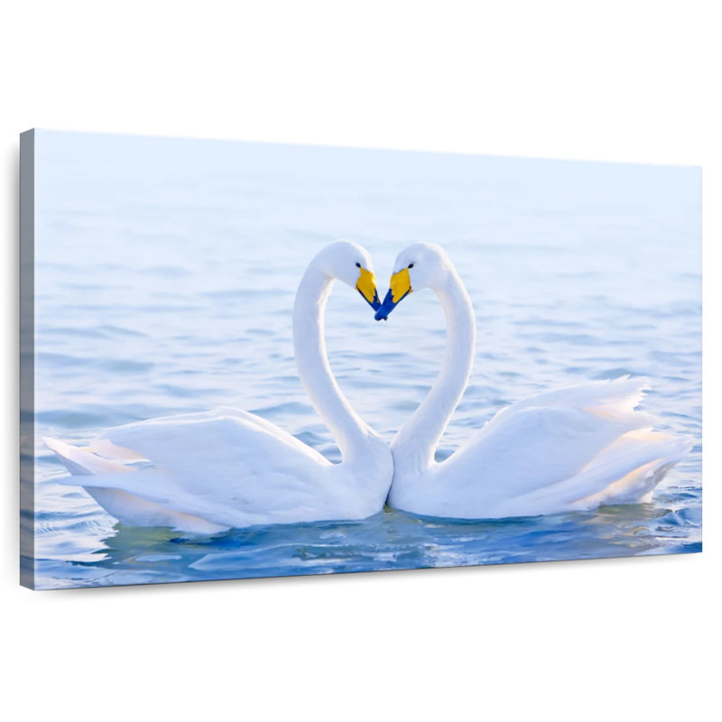 Couple de cygnes amoureux Brampt, H 32 po x l 48 po