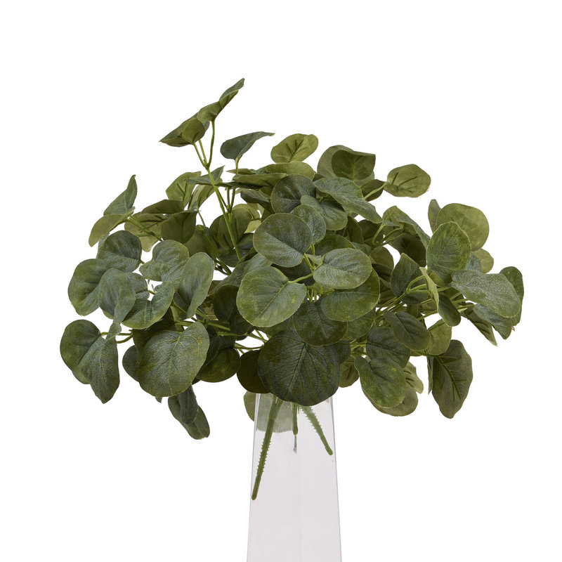 Anastasija Arrangement
