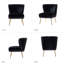 Euclid Velvet Accent Chair with Metal Legs-896446416