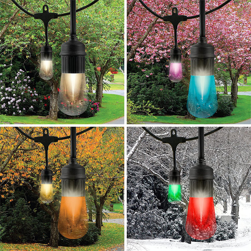 24ft Black Outdoor Color-Changing Acrylic LED String Lights