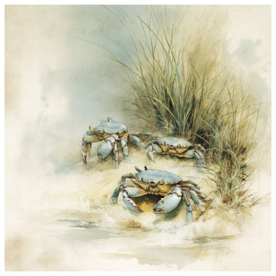 Rideaux de douche Crabs On Sandy Beach
