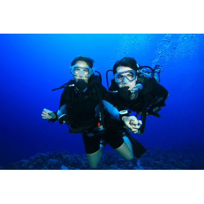 " Couple Scuba Diving " by Richcarey