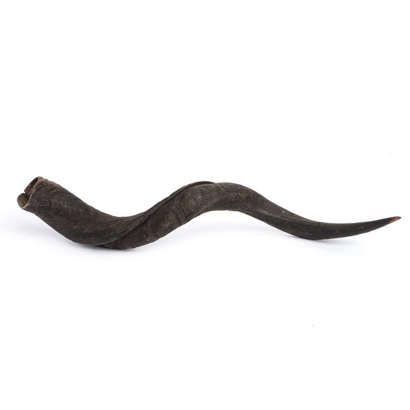 Horn - Natural Finish