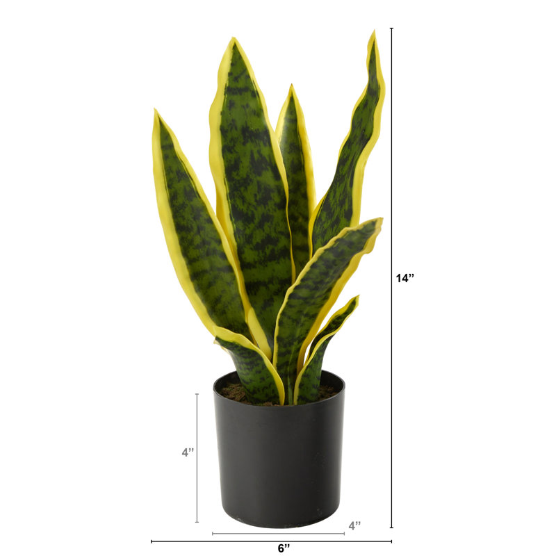 Faux Snake Plant (Sansevieria) Plant in Pot, 14" H x 6" W x 6" D, Yellow