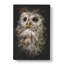 Tawny Owl Vol.1 - Wrapped Canvas-64078724