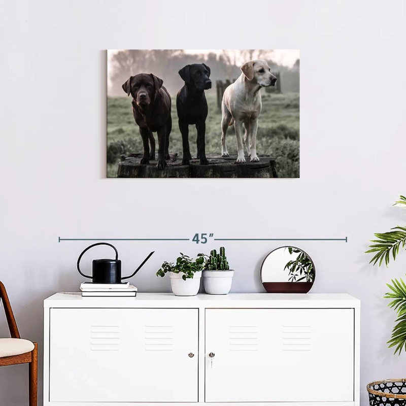 Brampt Labrador Dogs, H 20 po x l 30 po