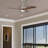 Briannie Ceiling Fan with LED Lights-573075749-573075746-573075748
